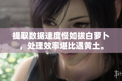 提取數(shù)據(jù)速度慢如拔白蘿卜，處理效率堪比遇黃土。