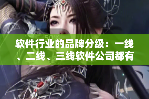 軟件行業(yè)的品牌分級(jí)：一線、二線、三線軟件公司都有哪些？