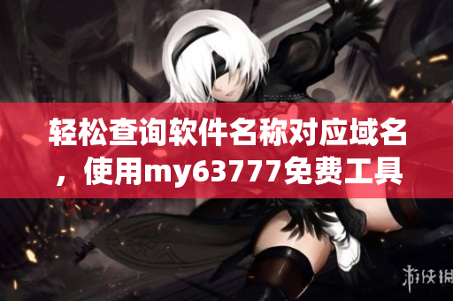 輕松查詢軟件名稱對應(yīng)域名，使用my63777免費工具
