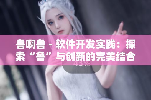 魯啊魯 - 軟件開發(fā)實踐：探索“魯”與創(chuàng)新的完美結(jié)合