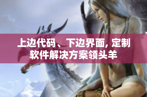 上邊代碼、下邊界面, 定制軟件解決方案領(lǐng)頭羊