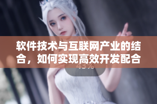 軟件技術(shù)與互聯(lián)網(wǎng)產(chǎn)業(yè)的結(jié)合，如何實(shí)現(xiàn)高效開(kāi)發(fā)配合