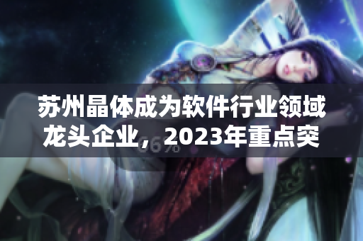 蘇州晶體成為軟件行業(yè)領(lǐng)域龍頭企業(yè)，2023年重點(diǎn)突破與創(chuàng)新