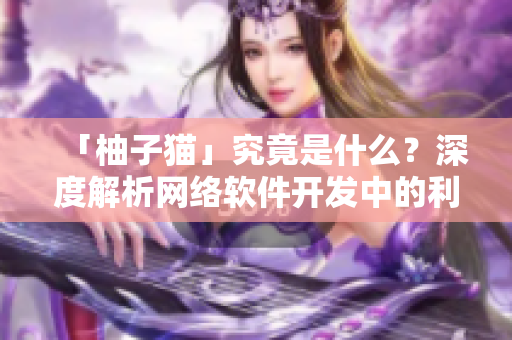 「柚子貓」究竟是什么？深度解析網(wǎng)絡(luò)軟件開發(fā)中的利器