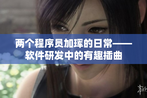 兩個程序員加琿的日常——軟件研發(fā)中的有趣插曲