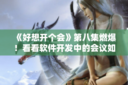 《好想開(kāi)個(gè)會(huì)》第八集燃爆！看看軟件開(kāi)發(fā)中的會(huì)議如何變得更加高效有趣