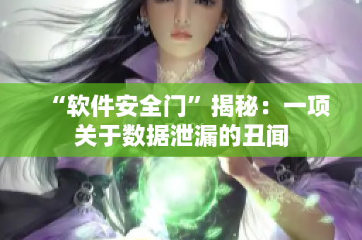 “軟件安全門”揭秘：一項關(guān)于數(shù)據(jù)泄漏的丑聞