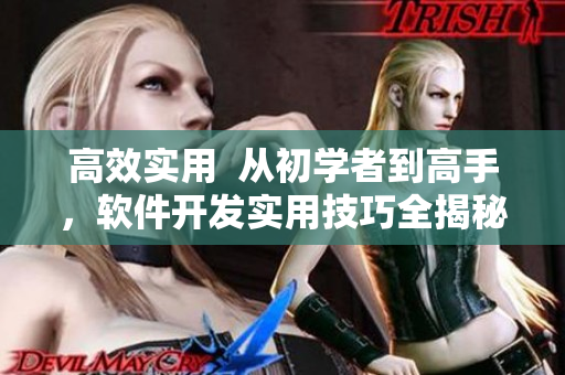 高效實用  從初學者到高手，軟件開發(fā)實用技巧全揭秘