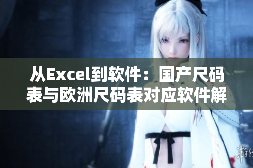 從Excel到軟件：國(guó)產(chǎn)尺碼表與歐洲尺碼表對(duì)應(yīng)軟件解決方案