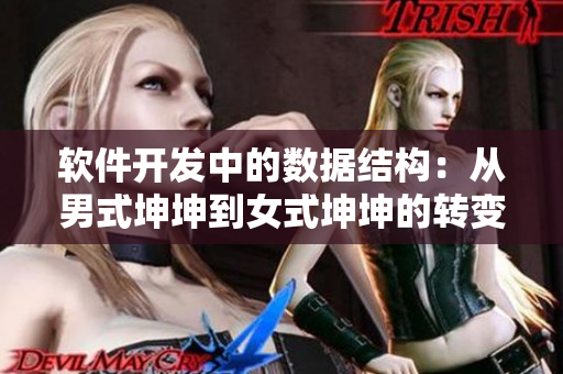 軟件開發(fā)中的數(shù)據(jù)結(jié)構(gòu)：從男式坤坤到女式坤坤的轉(zhuǎn)變