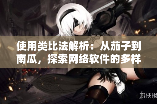 使用類(lèi)比法解析：從茄子到南瓜，探索網(wǎng)絡(luò)軟件的多樣化構(gòu)建