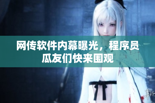 網(wǎng)傳軟件內(nèi)幕曝光，程序員瓜友們快來圍觀