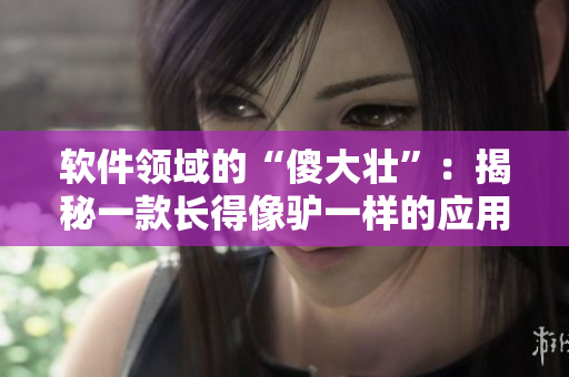 軟件領(lǐng)域的“傻大壯”：揭秘一款長得像驢一樣的應(yīng)用