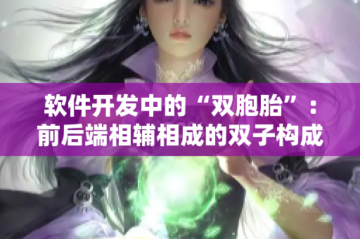 軟件開發(fā)中的“雙胞胎”：前后端相輔相成的雙子構(gòu)成