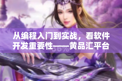 從編程入門到實戰(zhàn)，看軟件開發(fā)重要性——黃品匯平臺推薦方案