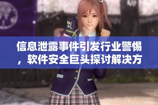 信息泄露事件引發(fā)行業(yè)警惕，軟件安全巨頭探討解決方案