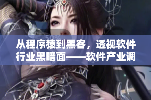 從程序猿到黑客，透視軟件行業(yè)黑暗面——軟件產(chǎn)業(yè)調(diào)查報(bào)道