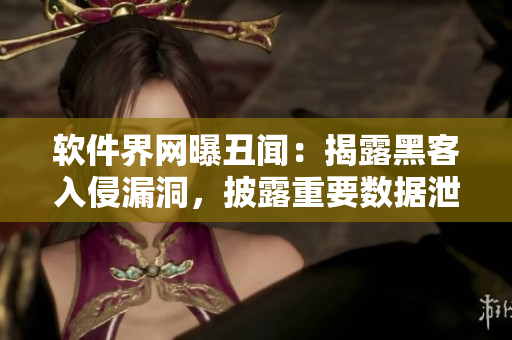 軟件界網(wǎng)曝丑聞：揭露黑客入侵漏洞，披露重要數(shù)據(jù)泄漏門