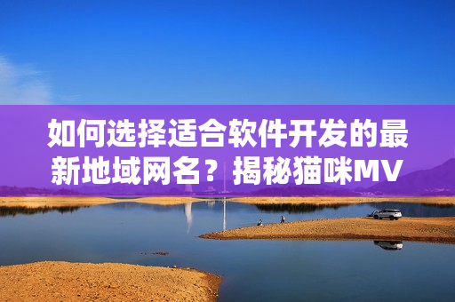 如何選擇適合軟件開發(fā)的最新地域網(wǎng)名？揭秘貓咪MV背后的命名技巧