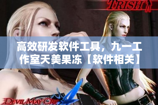 高效研發(fā)軟件工具，九一工作室天美果凍【軟件相關(guān)】