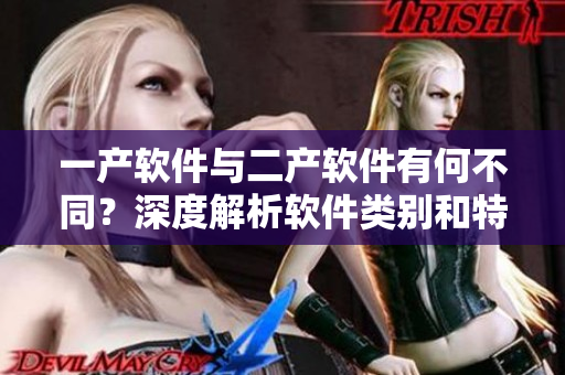 一產(chǎn)軟件與二產(chǎn)軟件有何不同？深度解析軟件類別和特點(diǎn)