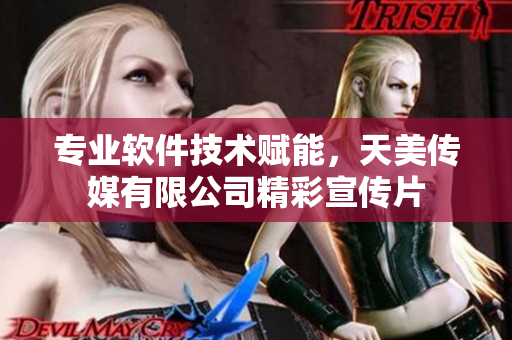 專業(yè)軟件技術(shù)賦能，天美傳媒有限公司精彩宣傳片