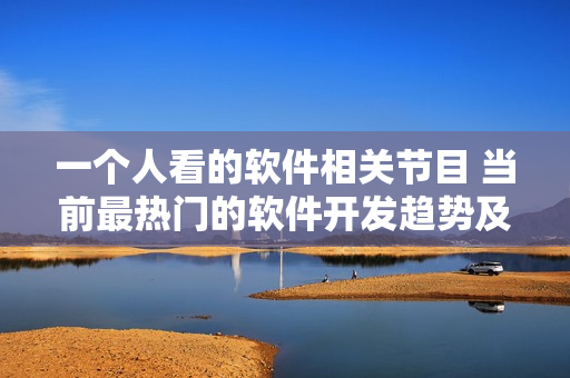 一個人看的軟件相關節(jié)目 當前最熱門的軟件開發(fā)趨勢及技術討論