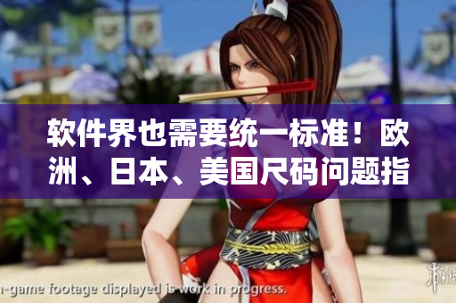 軟件界也需要統(tǒng)一標(biāo)準(zhǔn)！歐洲、日本、美國(guó)尺碼問(wèn)題指南