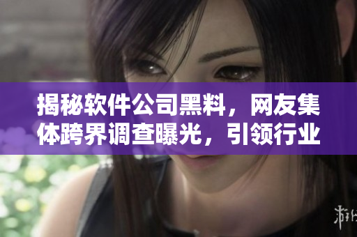 揭秘軟件公司黑料，網(wǎng)友集體跨界調(diào)查曝光，引領(lǐng)行業(yè)洗牌風(fēng)潮