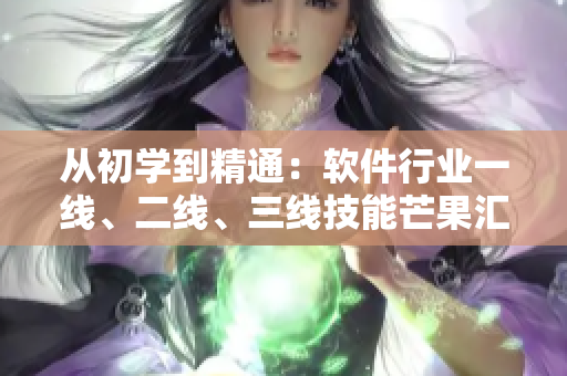 從初學(xué)到精通：軟件行業(yè)一線、二線、三線技能芒果匯總