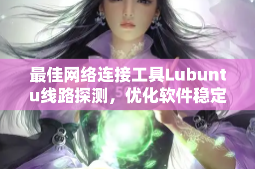 最佳網(wǎng)絡(luò)連接工具Lubuntu線路探測(cè)，優(yōu)化軟件穩(wěn)定更高效