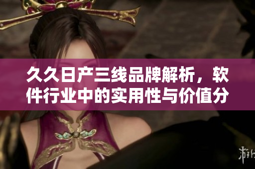 久久日產(chǎn)三線品牌解析，軟件行業(yè)中的實(shí)用性與價(jià)值分析