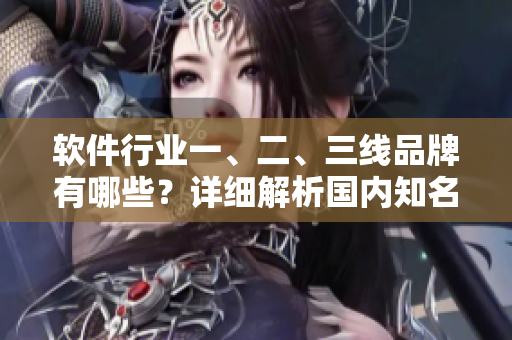 軟件行業(yè)一、二、三線品牌有哪些？詳細解析國內知名軟件企業(yè)排名