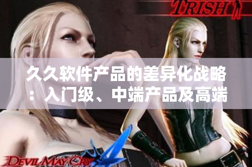 久久軟件產(chǎn)品的差異化戰(zhàn)略：入門級(jí)、中端產(chǎn)品及高端產(chǎn)品介紹