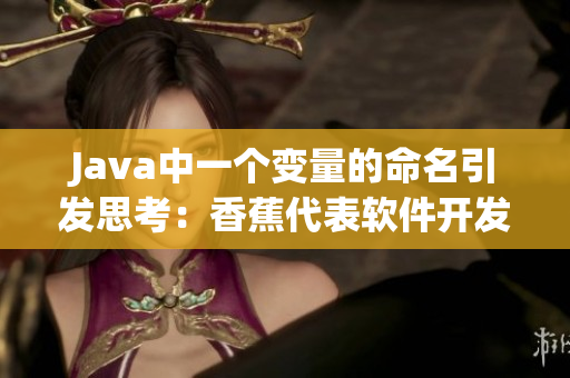 Java中一個變量的命名引發(fā)思考：香蕉代表軟件開發(fā)中的加盟費用？