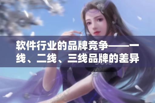 軟件行業(yè)的品牌競(jìng)爭(zhēng)——一線、二線、三線品牌的差異分析