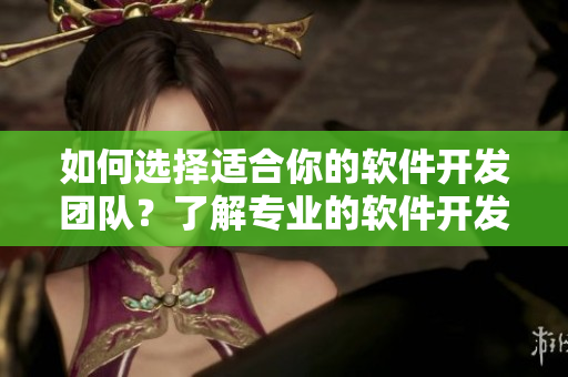 如何選擇適合你的軟件開發(fā)團(tuán)隊(duì)？了解專業(yè)的軟件開發(fā)公司!