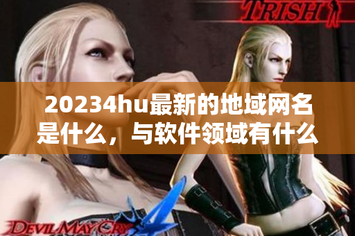 20234hu最新的地域網(wǎng)名是什么，與軟件領(lǐng)域有什么關(guān)系？