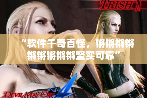 “軟件千奇百怪，鏘鏘鏘鏘鏘鏘鏘鏘鏘堅實可靠”