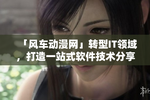 「風(fēng)車動(dòng)漫網(wǎng)」轉(zhuǎn)型IT領(lǐng)域，打造一站式軟件技術(shù)分享平臺(tái)