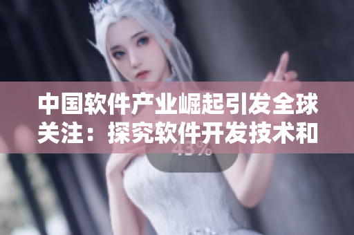 中國軟件產(chǎn)業(yè)崛起引發(fā)全球關(guān)注：探究軟件開發(fā)技術(shù)和趨勢