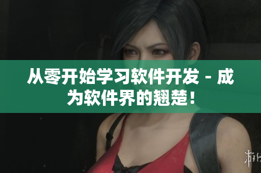 從零開(kāi)始學(xué)習(xí)軟件開(kāi)發(fā) - 成為軟件界的翹楚！