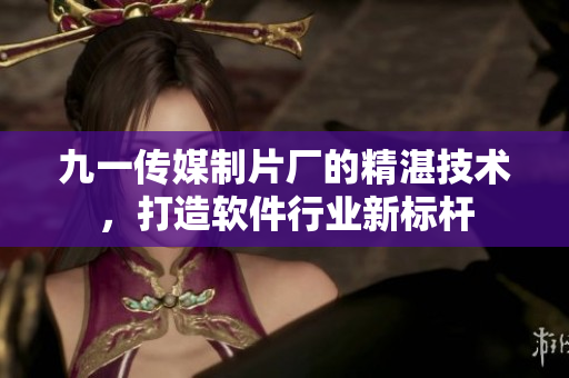 九一傳媒制片廠的精湛技術，打造軟件行業(yè)新標桿