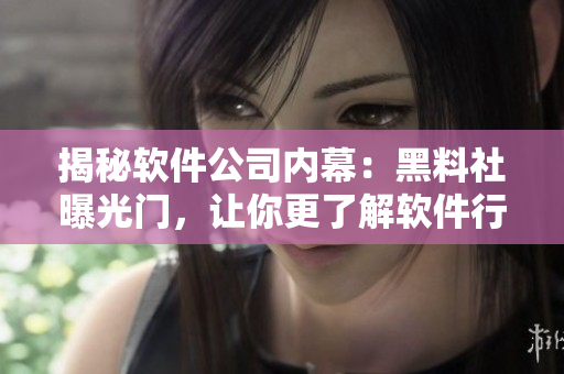 揭秘軟件公司內(nèi)幕：黑料社曝光門，讓你更了解軟件行業(yè)黑幕