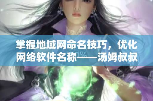 掌握地域網(wǎng)命名技巧，優(yōu)化網(wǎng)絡(luò)軟件名稱——湯姆叔叔專業(yè)教授