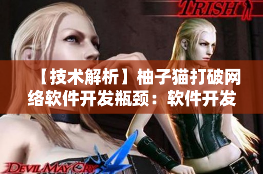 【技術(shù)解析】柚子貓打破網(wǎng)絡(luò)軟件開(kāi)發(fā)瓶頸：軟件開(kāi)發(fā)者的最?lèi)?ài)
