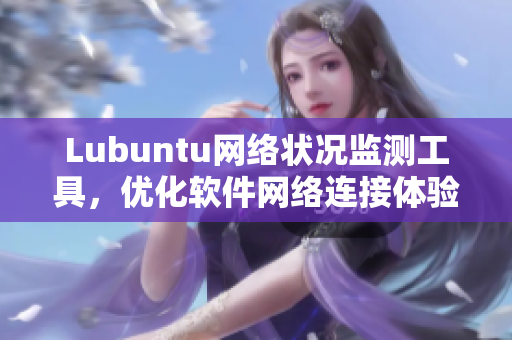 Lubuntu網(wǎng)絡(luò)狀況監(jiān)測(cè)工具，優(yōu)化軟件網(wǎng)絡(luò)連接體驗(yàn)