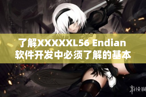 了解XXXXXL56 Endian 軟件開(kāi)發(fā)中必須了解的基本知識(shí)