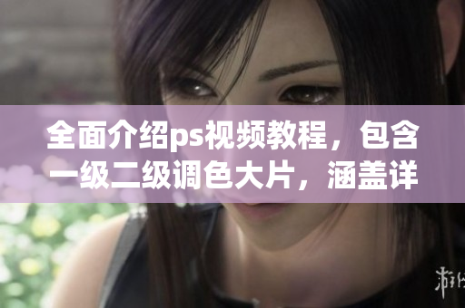 全面介紹ps視頻教程，包含一級(jí)二級(jí)調(diào)色大片，涵蓋詳盡的教程大全