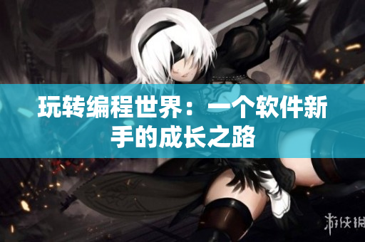 玩轉(zhuǎn)編程世界：一個軟件新手的成長之路